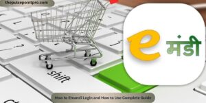 How to Emandi Login and How to Use Complete Guide